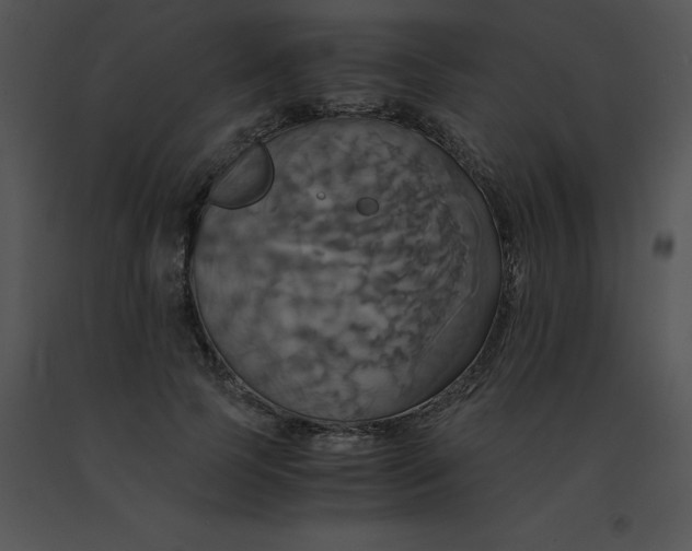 X0000091540745200708311331
