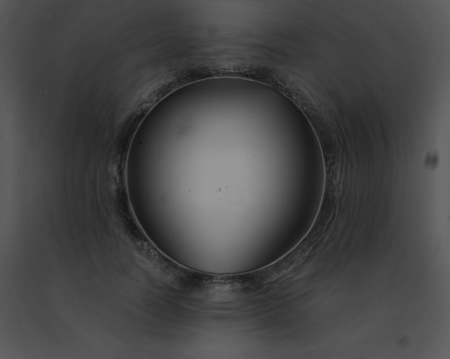 X0000091540746200708311331