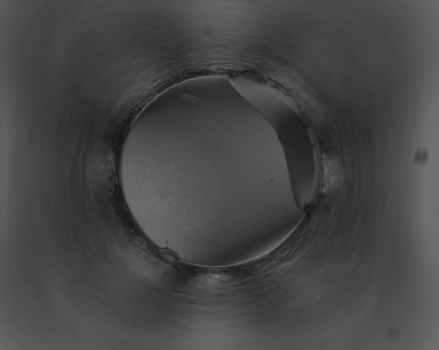 X0000091540748200708311331