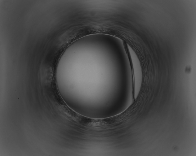 X0000091540752200708311332