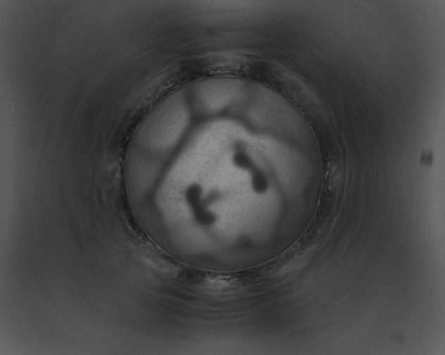 X0000091540753200708311332