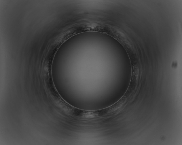 X0000091540754200708311332