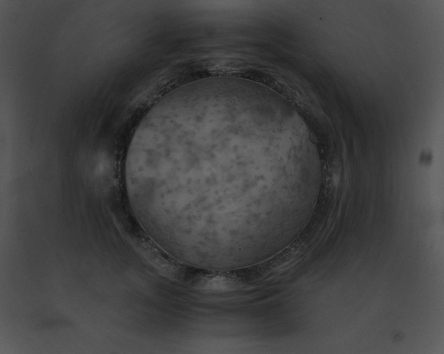 X0000091540755200708311332
