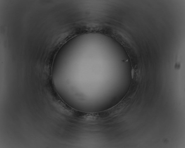 X0000091540756200708311332