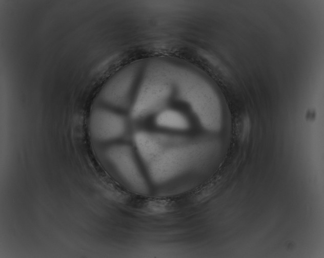 X0000091540757200708311332