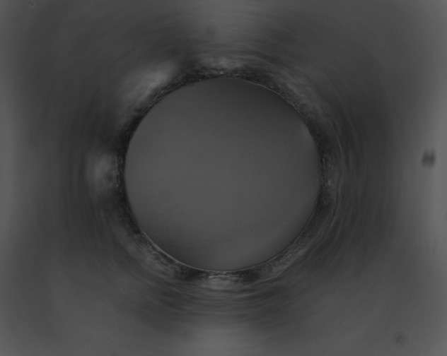 X0000091540758200708311332