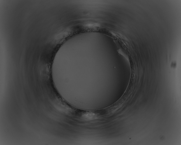 X0000091540759200708311332
