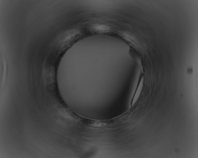 X0000091540760200708311332