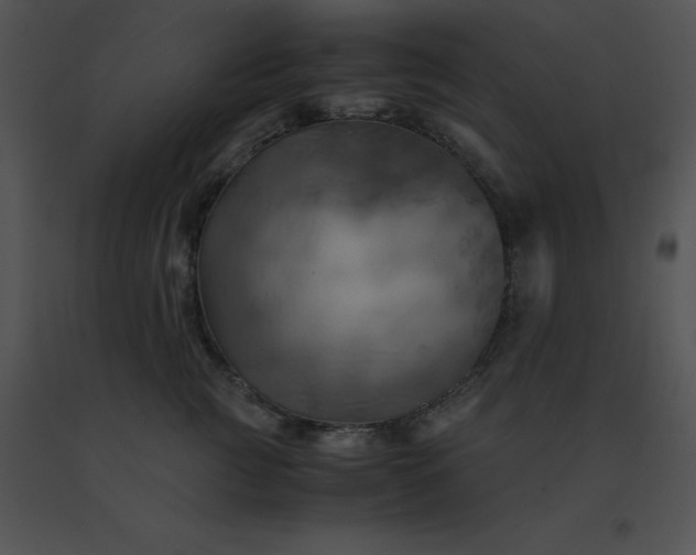 X0000091540761200708311332