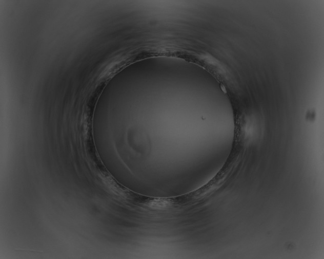 X0000091540762200708311332