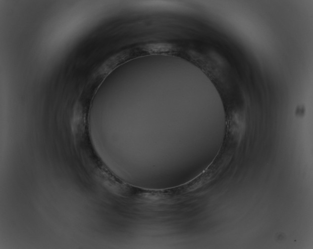 X0000091540763200708311332