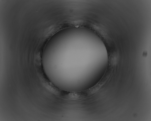X0000091540764200708311332
