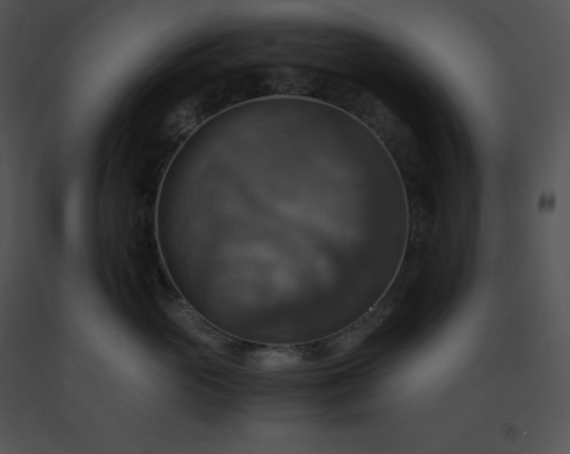 X0000091540765200708311332
