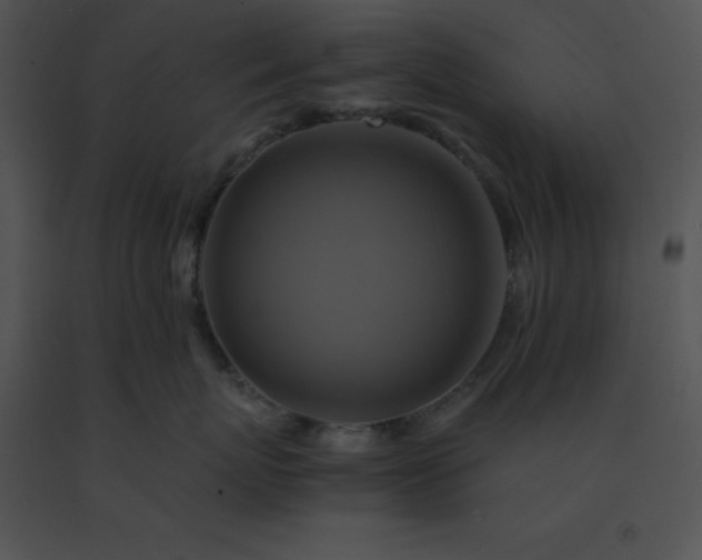X0000091540767200708311332