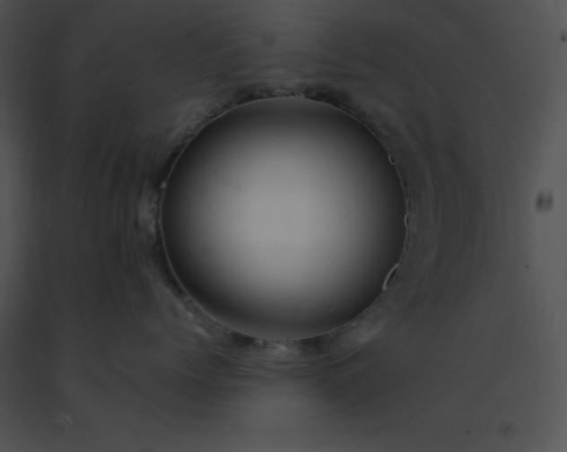 X0000091540768200708311332