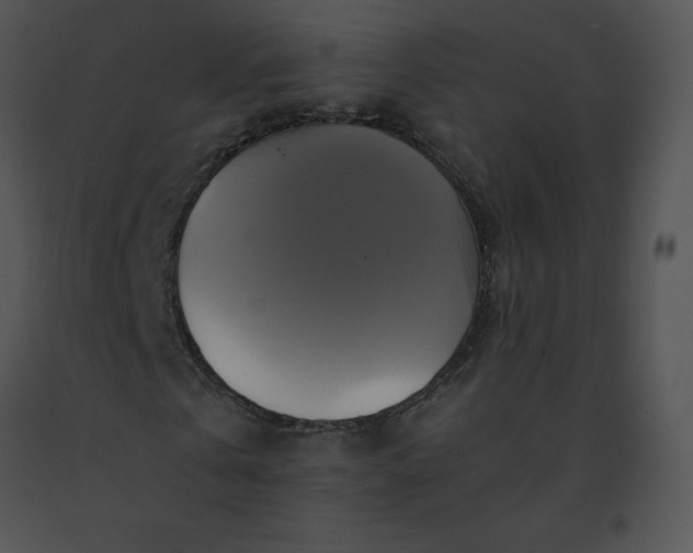 X0000091540769200708311331