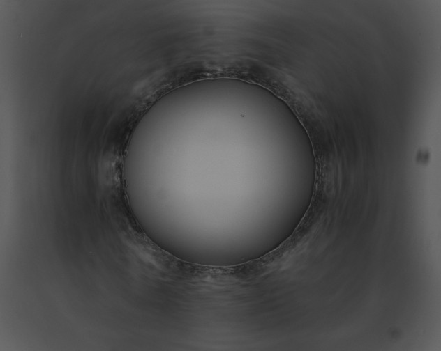 X0000091540770200708311331