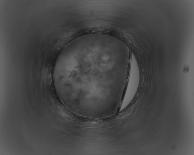 X0000091540771200708311331