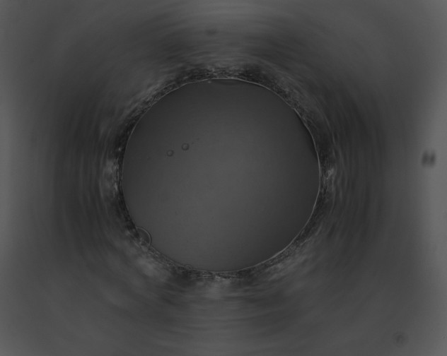 X0000091540772200708311331