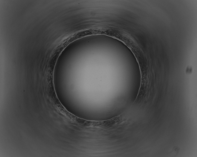 X0000091540773200708311331