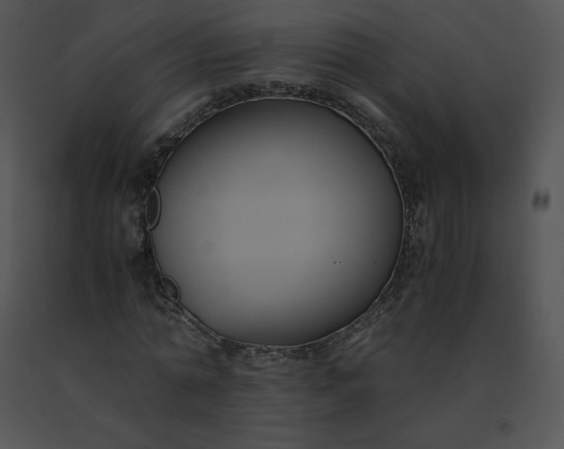 X0000091540774200708311331