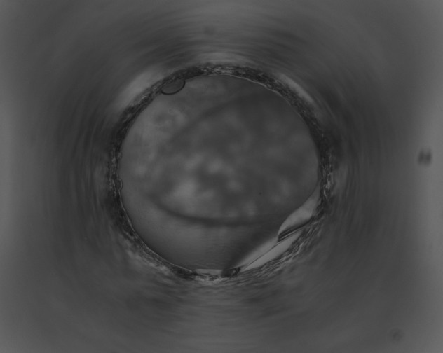X0000091540775200708311331