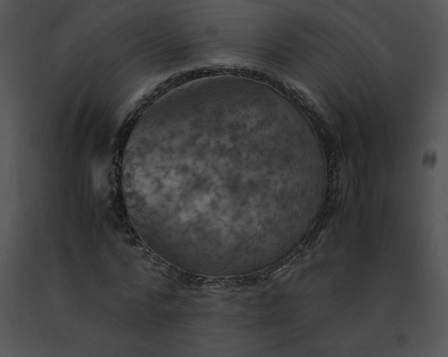 X0000091540776200708311331