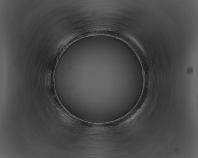 X0000091540777200708311331