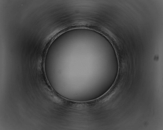X0000091540778200708311331