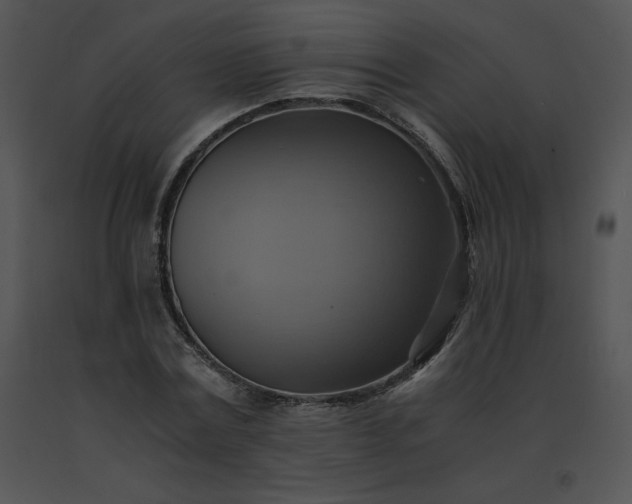 X0000091540779200708311331