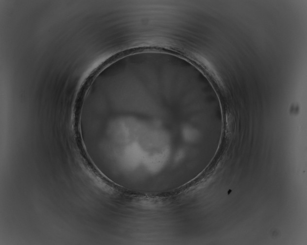 X0000091540780200708311331