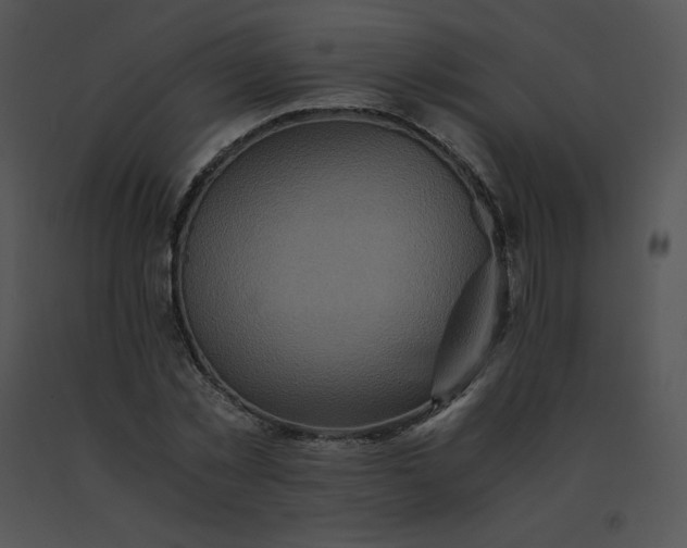X0000091540781200708311331