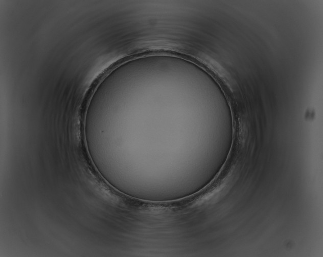 X0000091540782200708311331