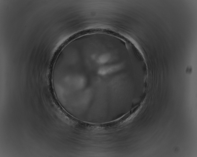 X0000091540783200708311331