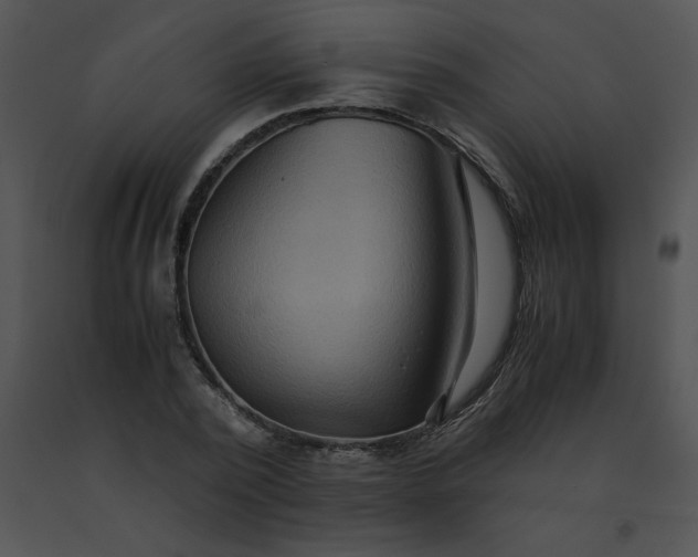 X0000091540784200708311331