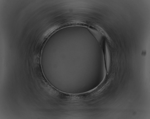 X0000091540785200708311331