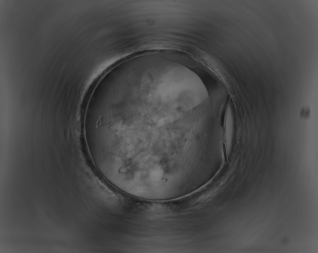 X0000091540787200708311331