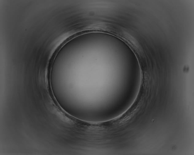 X0000091540788200708311331