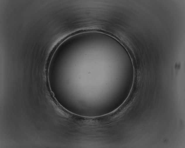 X0000091540789200708311331