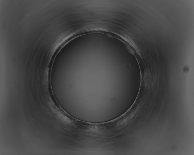 X0000091540790200708311331