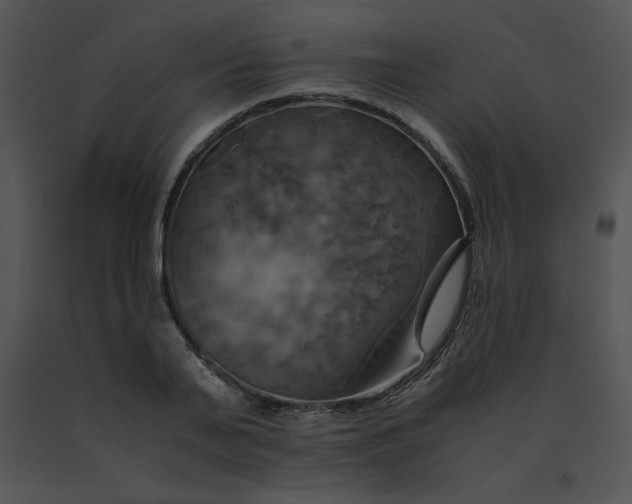 X0000091540791200708311331