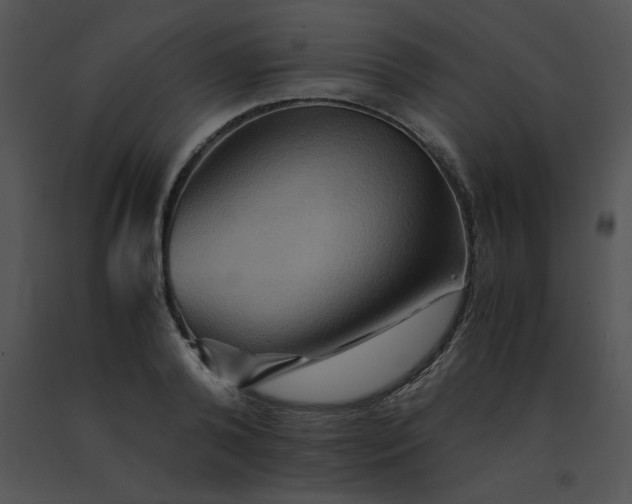 X0000091540792200708311331