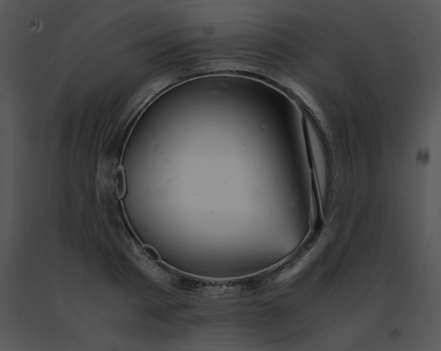 X0000091540793200708311331