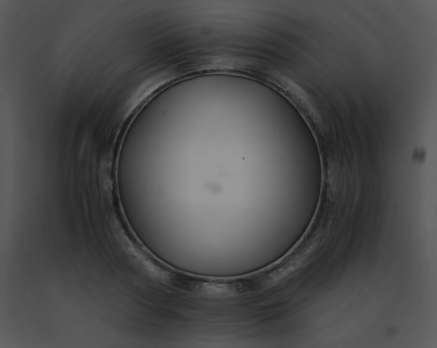 X0000091540794200708311331