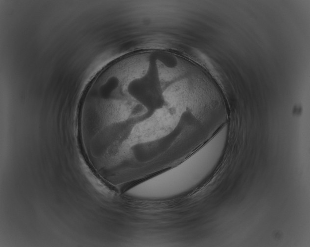 X0000091540795200708311331