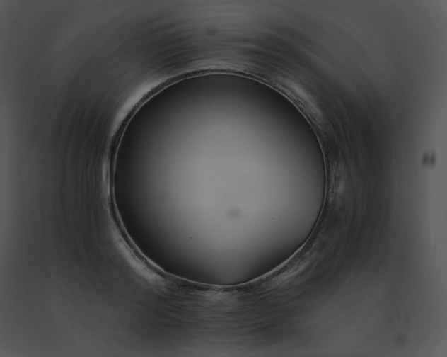 X0000091540796200708311331