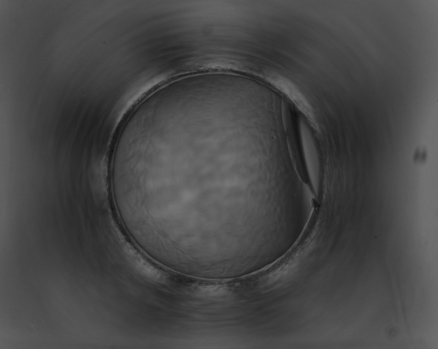 X0000091540798200708311331