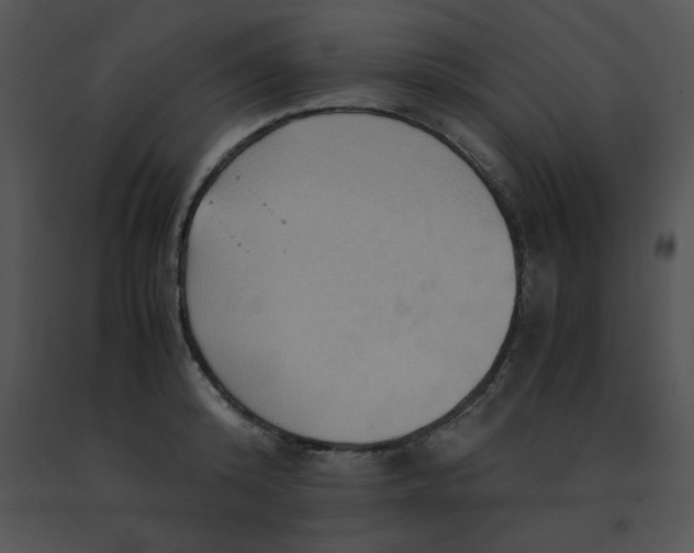 X0000091540800200708311331