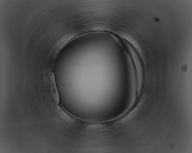X0000091540801200708311331