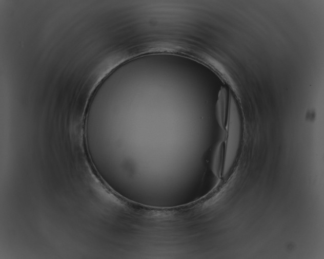 X0000091540802200708311331